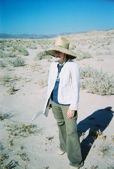 Angela Lizard Surveys